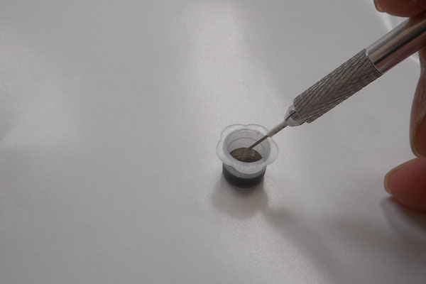 �j�ɐF�f�����ʕt���ăz�N������ꂽ�������Ɏh���܂�